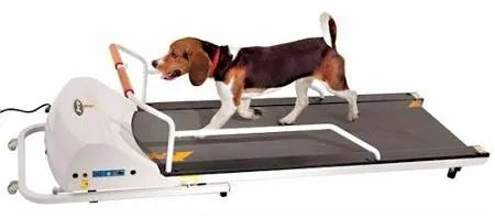 PetRun PR720F Dog Treadmill for Small Dogs