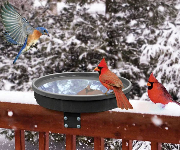 Bird Baths