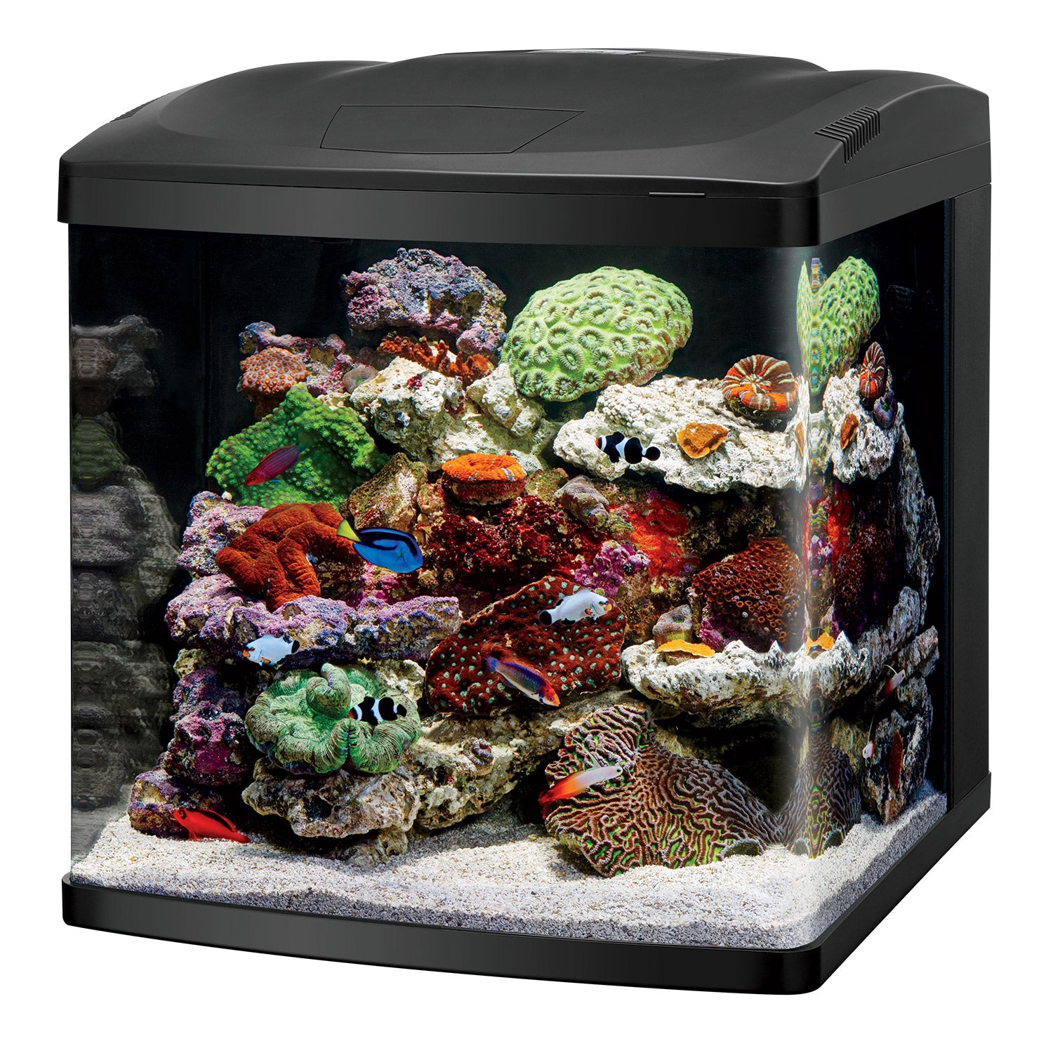 Coralife LED BioCube 32 Aquarium Kit 20.25″ x 21.875″ x 21.5″