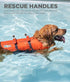 Outward Hound Dog Life Jacket