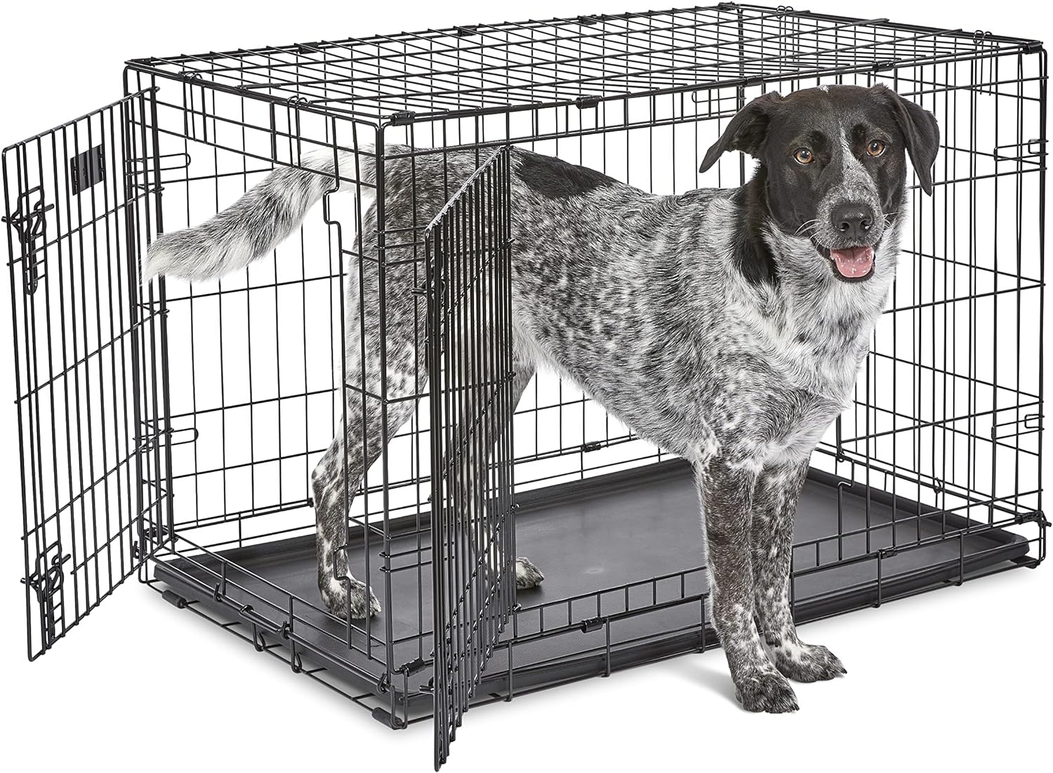 Midwest Life Stages Double Door Dog Crate Black 22″ x 13″ x 16″