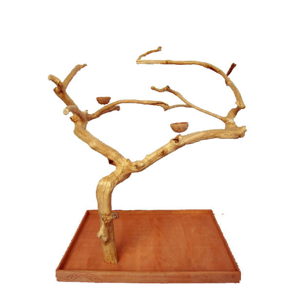 Large Java Wood Tree