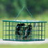 Squirrel Resistant Suet Palace