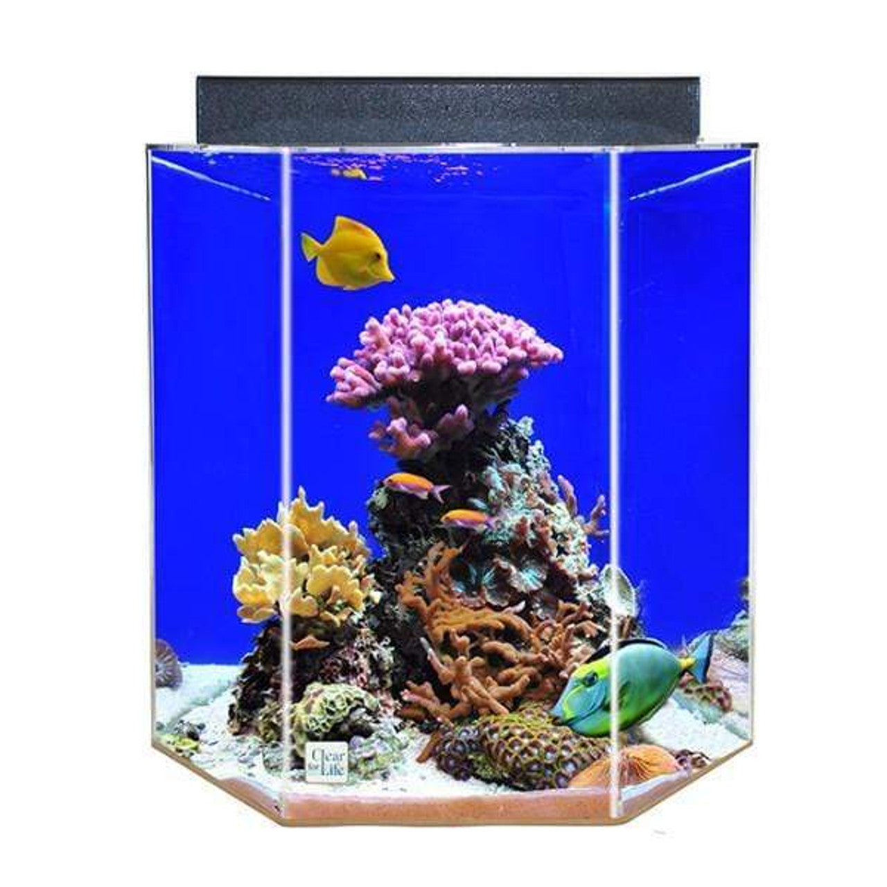 Hexagon Acrylic Uniquarium 3-in-1 System