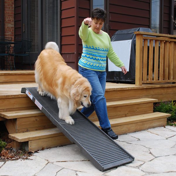 PetStep® Folding Pet Ramp