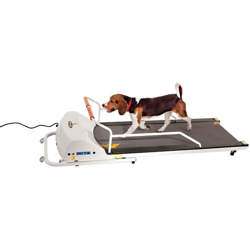 PetRun PR720F Dog Treadmill for Active Dogs up to 132 lbs